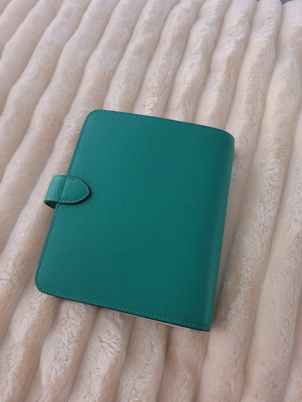 Mulberry Postman's Lock Agenda book Diary Green NEW - Picture 6 of 9